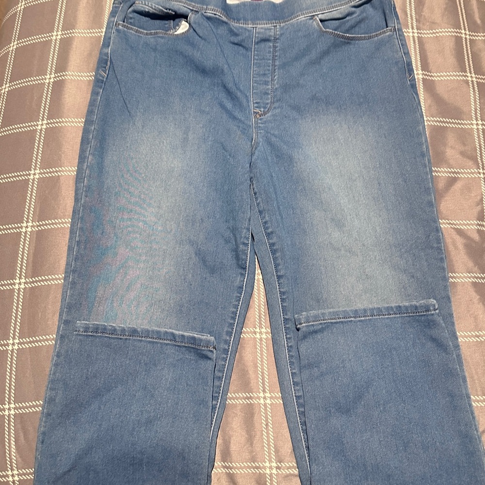 Gloria Vanderbilt Light Blue Ankle Jeans
